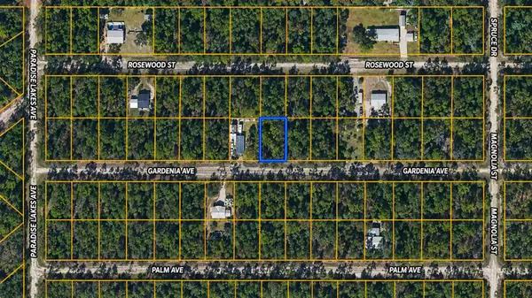 120 GARDENIA AVE, Georgetown, FL 32139