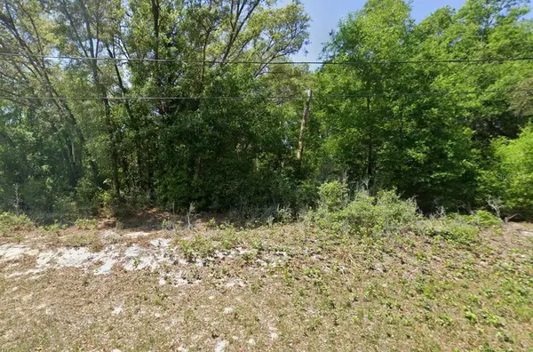 GUAVA PASS LN, Ocklawaha, FL 32179