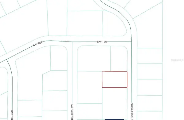 GUAVA PASS LN, Ocklawaha, FL 32179
