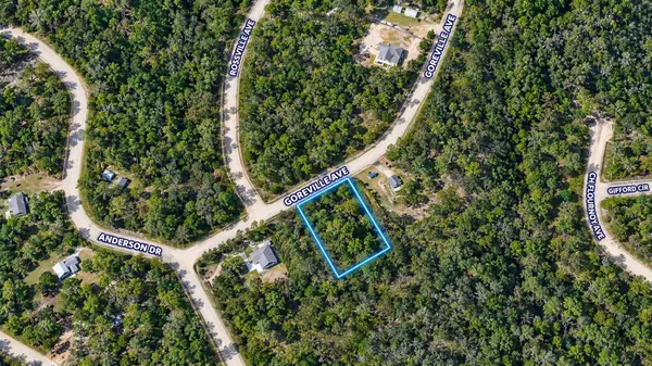 GOREVILLE AVE, Alford, FL 32420