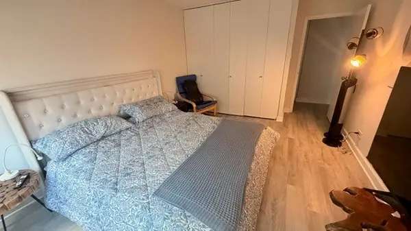211 E OHIO ST #1114, Chicago, IL 60611