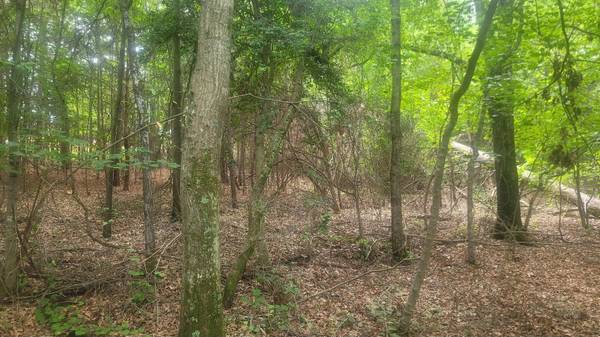 1429 Casey Creek rd, Chesnee, SC 29323