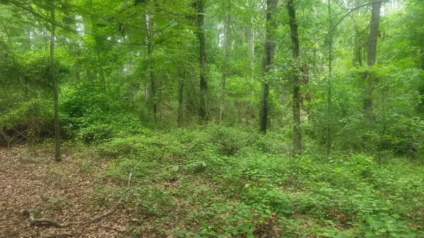 1429 Casey Creek rd, Chesnee, SC 29323