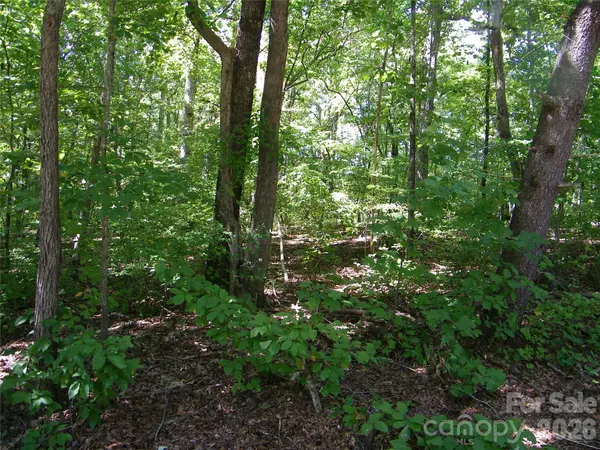 113 Chippewa TRL, China Grove, NC 28023