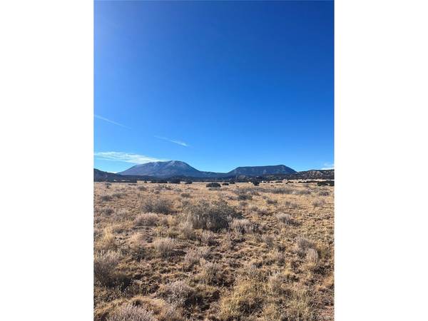 County Rd 541, lot 95, Gardner, CO 81040