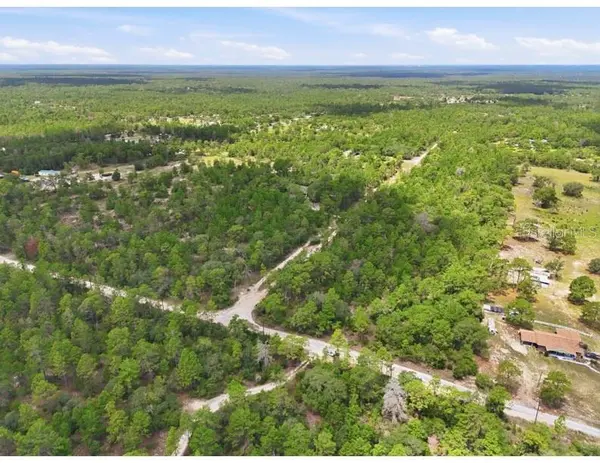 0 W CANAGAN CT, Dunnellon, FL 34433
