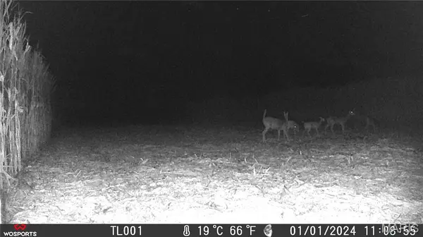 19.93 acres Walnut Hill LN, Elsberry, MO 63343