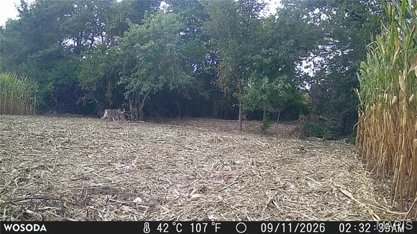 19.93 acres Walnut Hill LN, Elsberry, MO 63343