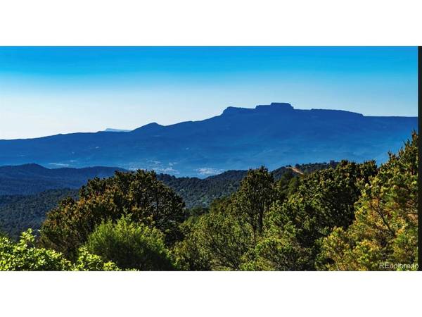 LOT 15, PICKETWIRE RANCH, Trinidad, CO 81082