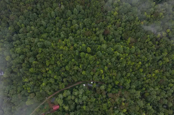0 Redwood Lane, Ellijay, GA 30540