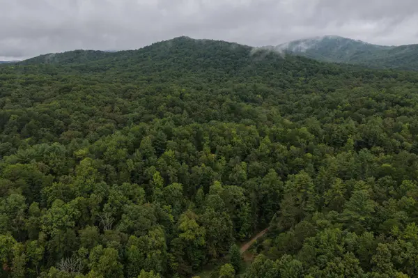 0 Redwood Lane, Ellijay, GA 30540