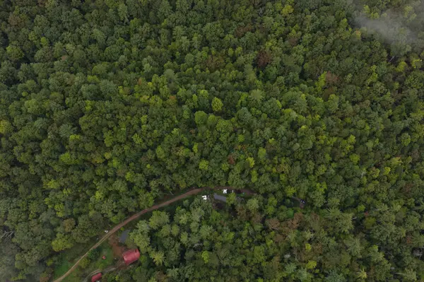 0 Redwood Lane, Ellijay, GA 30540