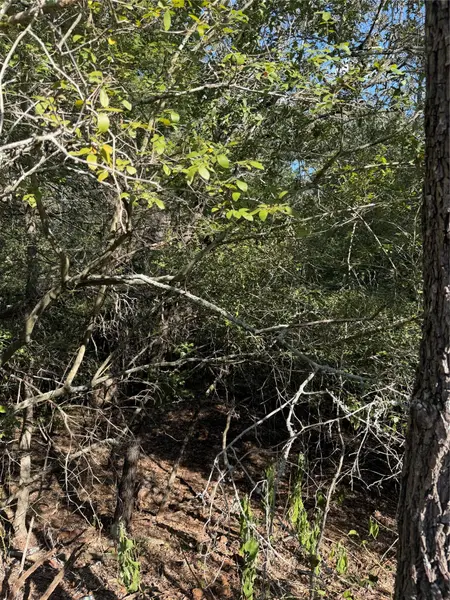 Lot 189 Kaelupulu DR, Bastrop, TX 78602