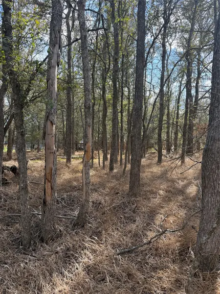 Lot 118 W Keomuku LN, Bastrop, TX 78602