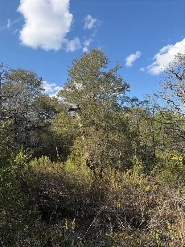 Lot 539 Palikea CIR, Bastrop, TX 78602