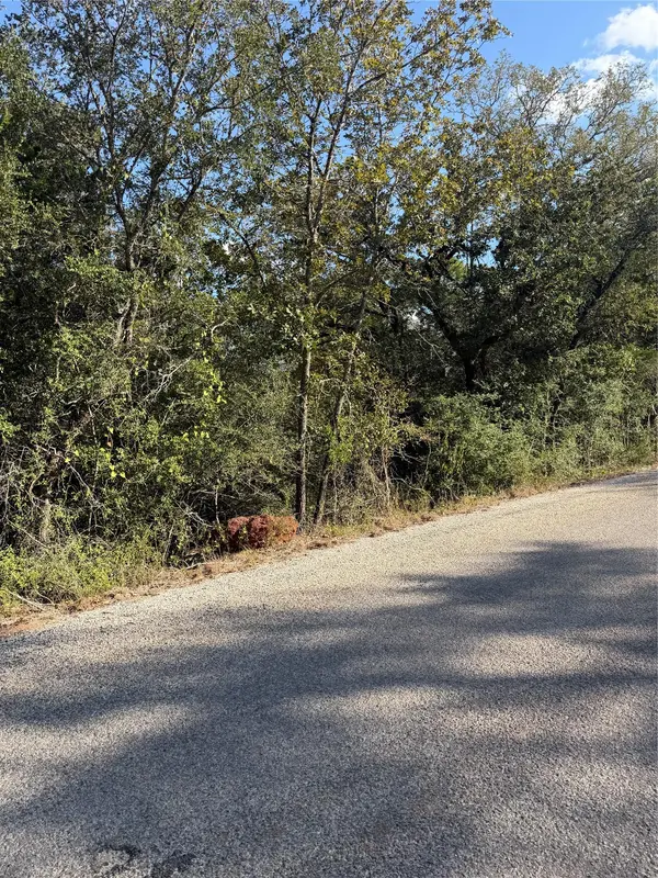 Lot 189 Kaelupulu DR, Bastrop, TX 78602