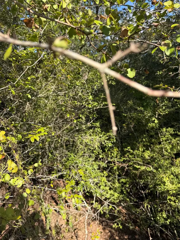 Lot 189 Kaelupulu DR, Bastrop, TX 78602