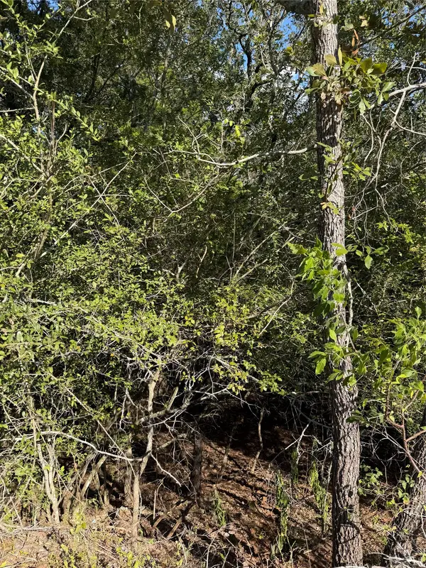 Lot 189 Kaelupulu DR, Bastrop, TX 78602