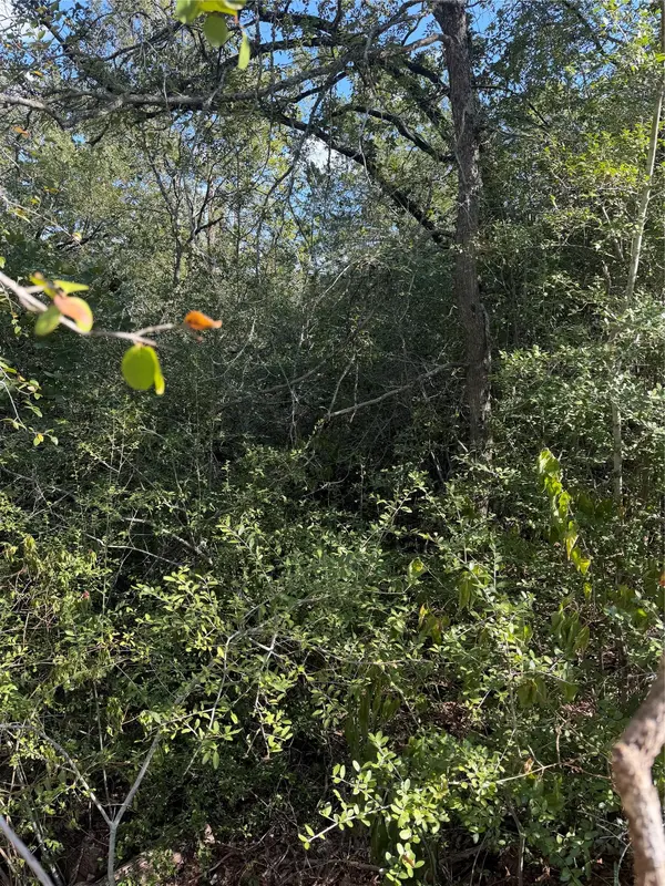 Lot 189 Kaelupulu DR, Bastrop, TX 78602