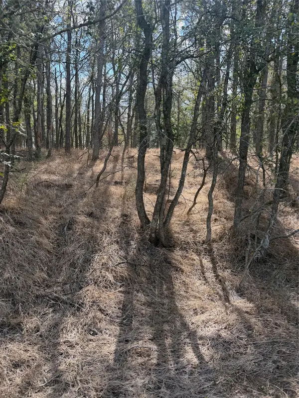 Lot 118 W Keomuku LN, Bastrop, TX 78602