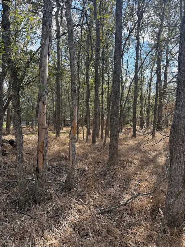 Lot 118 W Keomuku LN, Bastrop, TX 78602