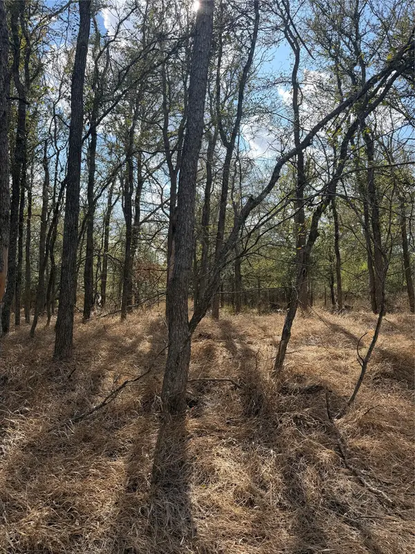Lot 118 W Keomuku LN, Bastrop, TX 78602