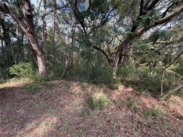 00 SE 169TH CT, Ocklawaha, FL 32179