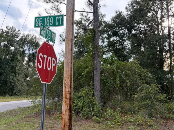 00 CORNER SE 169TH CT & SE 59TH PLACE, Ocklawaha, FL 32179
