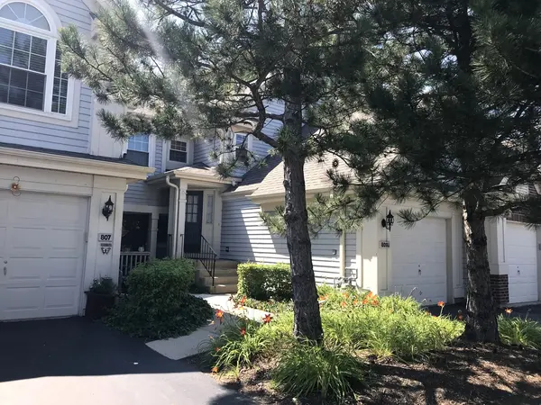 809 Spring Creek CT #A, Elk Grove Village, IL 60007