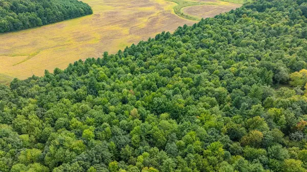 Lot3 815th AVE, Menomonie, WI 54751