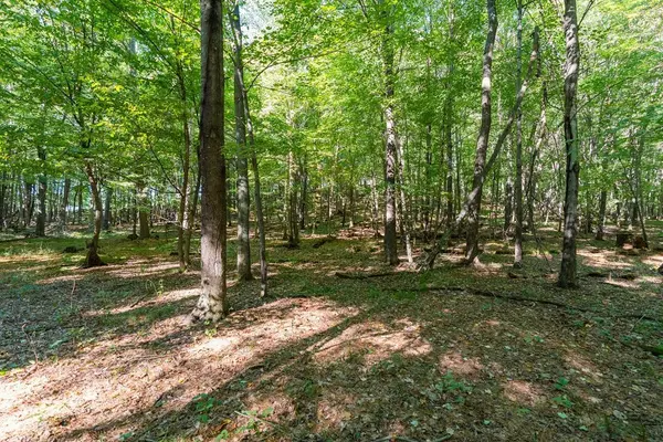 Lot3 815th AVE, Menomonie, WI 54751
