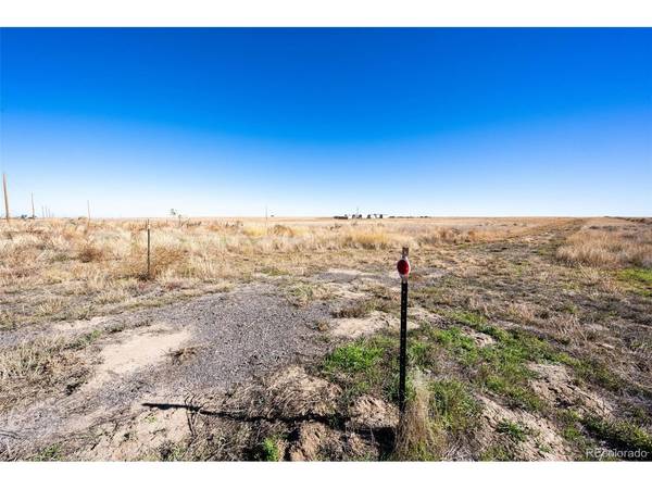 Deter Winter, Denver, CO 80229