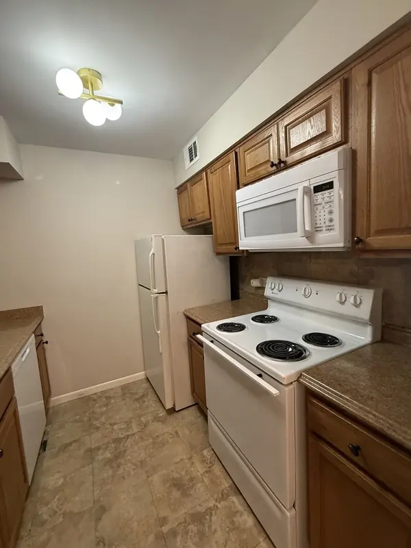 6176 Knoll Lane CT #202, Willowbrook, IL 60527