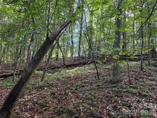000 Reserve WAY #10, Hendersonville, NC 28792