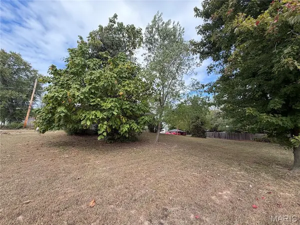 1202 S Main ST, De Soto, MO 63020