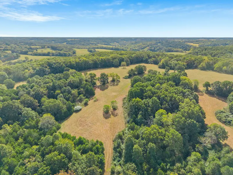 000 Bobcat RD, Rogersville, MO 65742