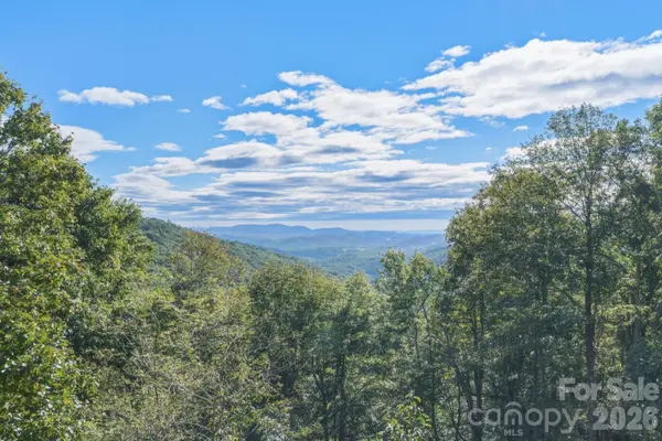 148 Sunny Chestnut Forest None, Boone, NC 28607