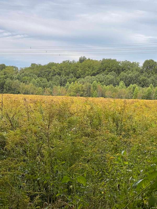 0 County Line RD, New Carlisle, IN 46552