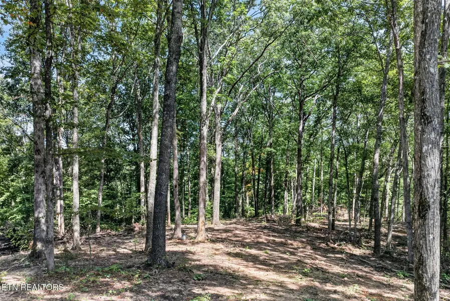 40 Pioneer Trail Lane, Crawford, TN 38554