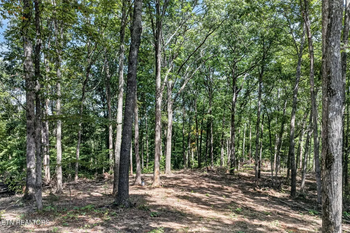 40 Pioneer Trail Lane, Crawford, TN 38554