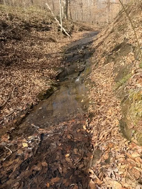 1013 Valencia Ct, Ashland City, TN 37015