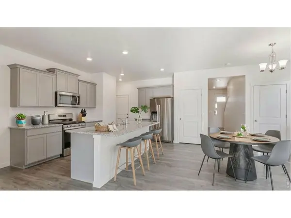 1002 Annelles Pool, Severance, CO 80550