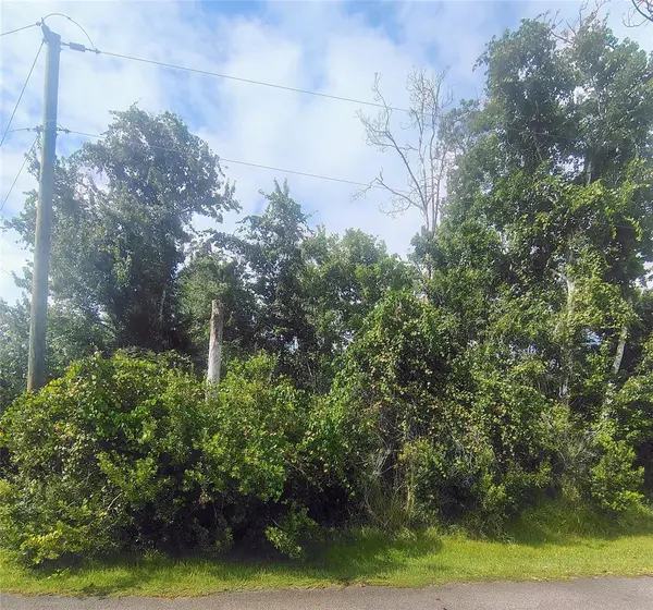 1 KALMAR PL, Palm Coast, FL 32164