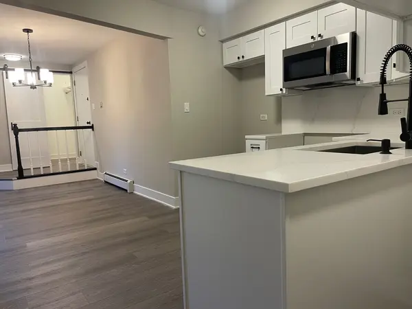 13 Echo CT #10, Vernon Hills, IL 60061