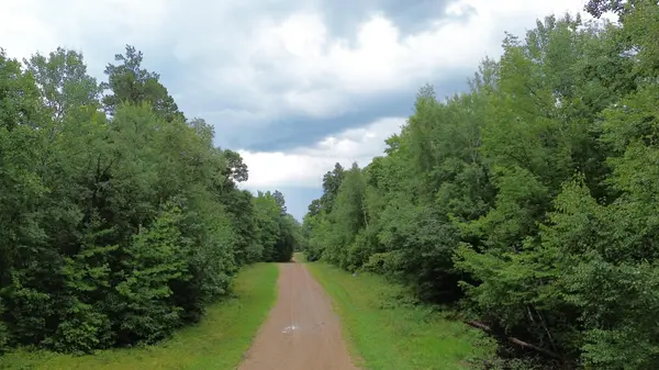 TBD Raccoon and Flower Trail, Breezy Point, MN 56472