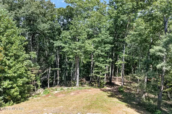 40 Pioneer Trail Lane, Crawford, TN 38554