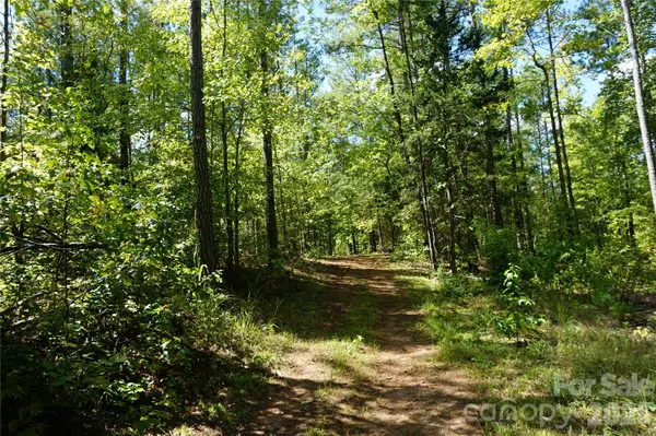 6+/- AC Lot 1 Parson RD, Mcconnells, SC 29726