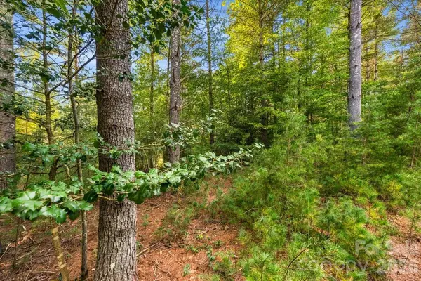 60 Kingfisher TER #107, Nebo, NC 28761
