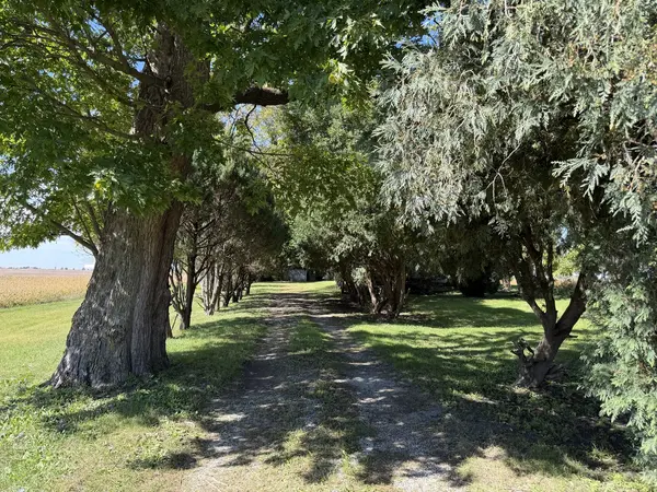 305 N Michigan ST, Ashkum, IL 60911