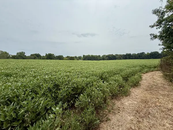 0 Oakdale Road, Athens, AL 35613